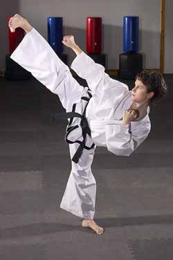 Taekwondo Side Kick